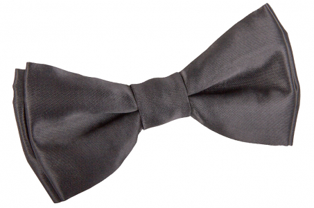 4210 Classic clip bow tie