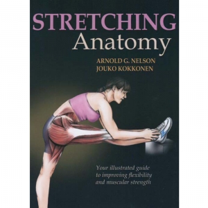 9505 Stretching Anatomy