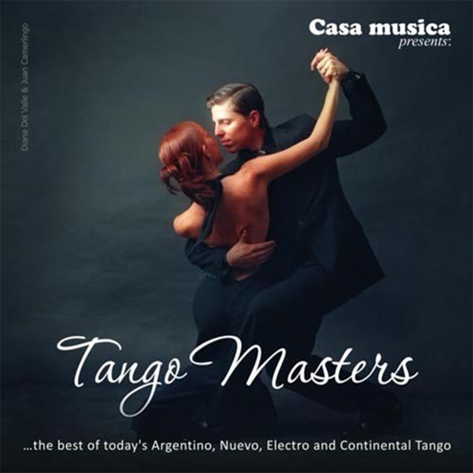 Casa musica. Танго Фернандо. Santa Maria Gotan Project. Дпо28 Tango. Masters of Tango Folklore argentino.
